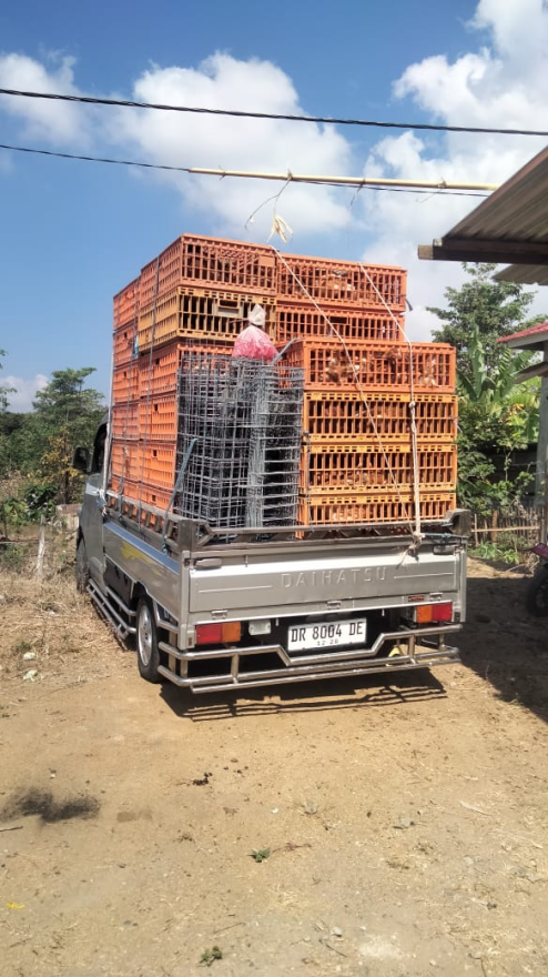 PROGRAM KETAHAN PANGAN 20% DESA BAJO BUMDES